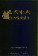 武汉市志  对外经济贸易志（1996 PDF版）