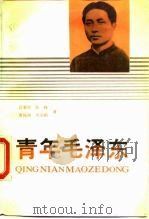 青年毛泽东   1990  PDF电子版封面  780023133X  高菊村，陈峰，唐振南，田余粮著 