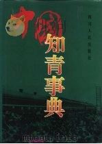 中国知青事典（1995 PDF版）