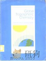 Global Tropospheric Chemistry PLANS FOR THE U.S. RESEARCH EFFORT     PDF电子版封面     