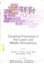 Coupling Processes in the lower and Middle Atmosphere     PDF电子版封面  0792321278   