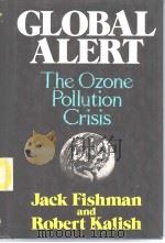 Global ALERT The Ozone Pollution Crisis     PDF电子版封面  0306434555   