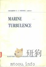 Marine Turbulence     PDF电子版封面     