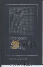 Mesoscale Meteorological Modeling     PDF电子版封面     