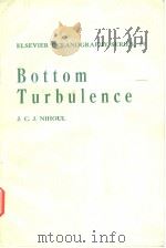 Bottom Turbulence     PDF电子版封面  0444415742   