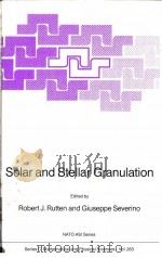 Solar and Stellar Granulation（ PDF版）
