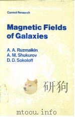 Magnetic Fields of Galaxies（ PDF版）