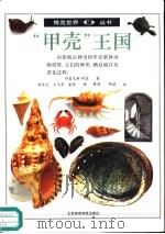 “甲壳”王国  图集（1992 PDF版）