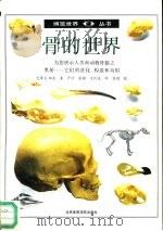 骨的世界  图集（1992 PDF版）