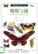 蝴蝶与蛾  图集（1992 PDF版）