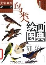鸟类绘画图典  1   1999  PDF电子版封面  7540108355  周彦生主编；王铁桥主译 