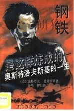 钢铁是这样炼成的  奥斯特洛夫斯基的一生   1994  PDF电子版封面  7801120078  （苏）温格罗夫（Н.Венгров），（苏）爱弗罗斯（М.Э 