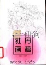 牡丹画稿   1992  PDF电子版封面  7540102616  王少卿绘 