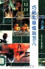 巧用花草做玩艺儿  图集（1992 PDF版）