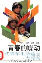 青春的躁动  当代青年生活热点大写真   1993  PDF电子版封面  7507502988  文哲，潇燕主编 