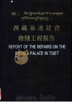 西藏布达拉宫修缮工程报告   1994  PDF电子版封面  7501007969  姜怀英等编著；西藏布达拉宫维修工程施工办公室，中国文物研究所 