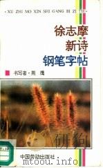 徐志摩新诗钢笔字帖（1991 PDF版）