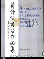 薛冲波书法作品集（1996 PDF版）