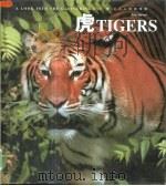 虎  引人入胜的观察（1998 PDF版）