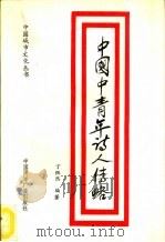 中国中青年诗人传略（1992 PDF版）