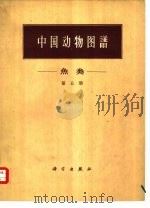 中国动物图谱  鱼类  第5册   1965  PDF电子版封面  13031·2177  郑葆珊，李思忠著 