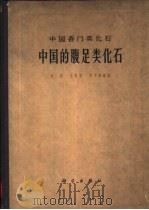 中国的腹足类化石   1963  PDF电子版封面  13031·1789  余汶，王惠基等编著 