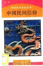中国民间信仰   1990  PDF电子版封面  7533007023  金泽著 