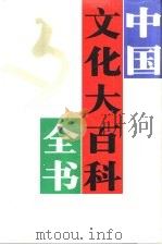 中国文化大百科全书  历史卷（下卷）（ PDF版）