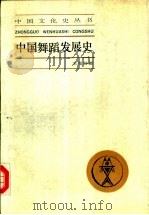 中国舞蹈发展史   1989  PDF电子版封面  7208004722  王克芬著 