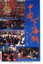 中国“下海”潮   1993  PDF电子版封面  7202013452  嵇立平主编 