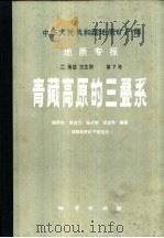 中华人民共和国地质矿产部地质专报  2  地层古生物  第7号  青藏高原的三叠系   1987  PDF电子版封面  13038·新409  饶荣标，徐济凡等编著 