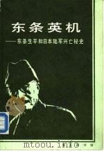 东条英机  东条生平和日本陆军兴亡秘史（1987年08月第1版 PDF版）