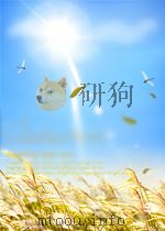 公共政策     PDF电子版封面    林水波 张世贤 