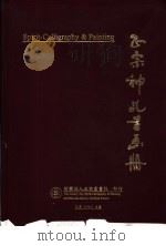 正宗神乩书画册   1995  PDF电子版封面    宋光宇主编 