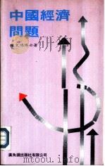 中国经济问题   1989  PDF电子版封面  9622262635  陈文鸿编著 