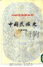 中国民族史下（1984 PDF版）