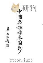 中国药物标本图影（1935 PDF版）