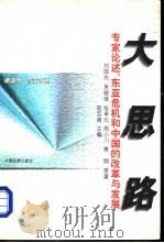 大思路  专家论述：东亚危机和中国的改革与发展（1999 PDF版）