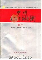 中国天然气地质学  卷1   1992  PDF电子版封面  7502108270  戴金星，裴锡古等主编 