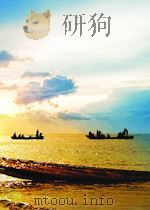 天下没有免费午餐：改革成本问题研究与国际比较   1999年09月第1版  PDF电子版封面    王跃生等 