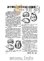 1951年的著作  24-35  谈中国猿人与爪哇猿人的关系     PDF电子版封面    贾兰坡 