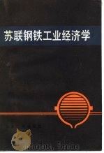 苏联钢铁工业经济学   1986  PDF电子版封面  15062·4367  （苏）班内著；金琳等译 