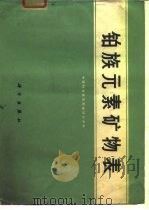 铂族元素矿物表   1972  PDF电子版封面    中国科学院贵阳地球化学研究所编 