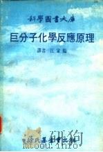 科学图书大库  巨分子化学反应原理     PDF电子版封面    译者，江家临 