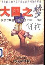 大国之梦  反思与展望：中国经济1978-2000   1997  PDF电子版封面  7226018012  陈迅等著 