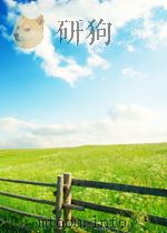 生存之路：计算机技术引发的全新经营革命   1997年09月第1版  PDF电子版封面    （美）詹姆斯·迈天 