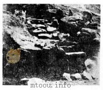 1950年的著作  15-23  吉林西团山古墓之发掘     PDF电子版封面    贾兰坡 