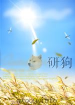 历史研究  第3期   1957  PDF电子版封面  04591909   