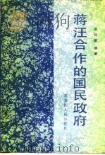 蒋汪合作的国民政府   1988  PDF电子版封面  7207003099  张同新编著 