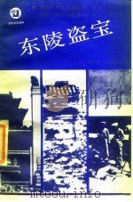 东陵盗宝（1986 PDF版）